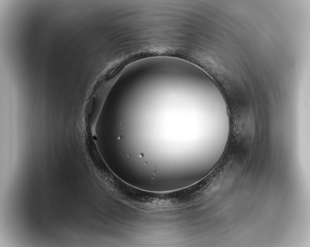 X0000096490256200801241511