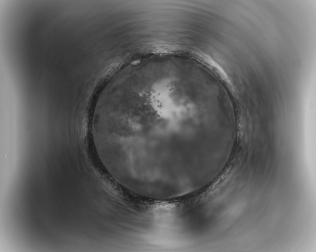 X0000096490257200801241511