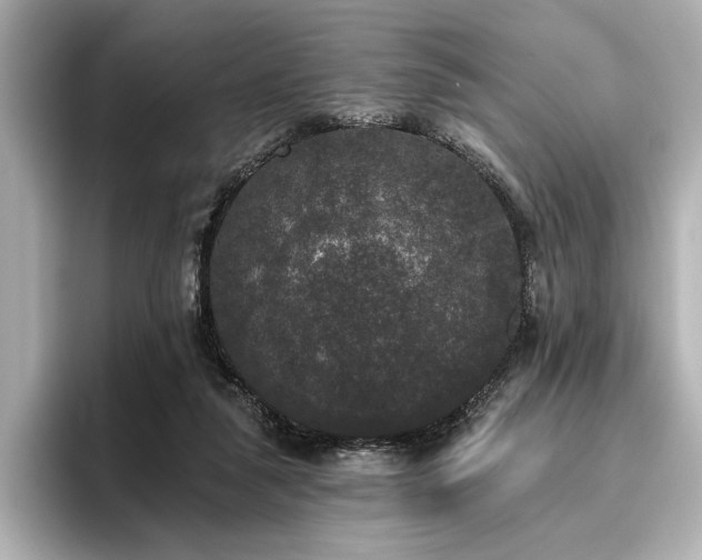 X0000096490259200801241511