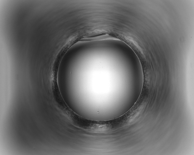 X0000096490260200801241511