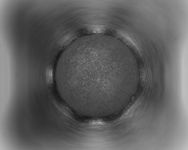 X0000096490262200801241511