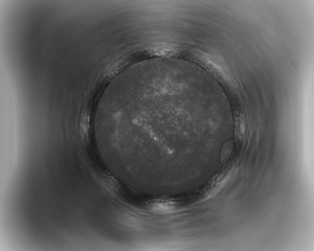 X0000096490263200801241511