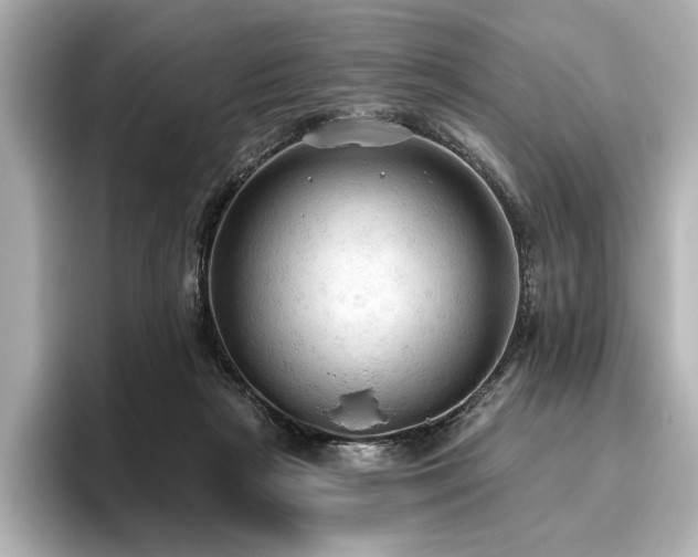 X0000096490265200801241511