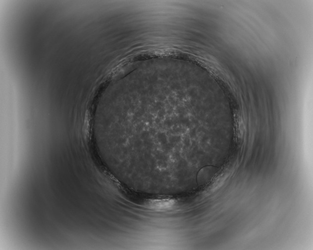 X0000096490266200801241511