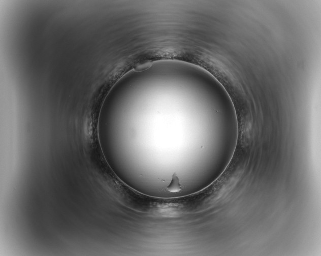 X0000096490268200801241511