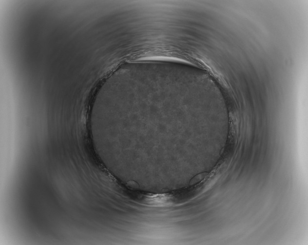 X0000096490269200801241511