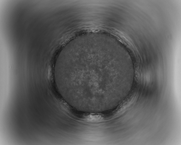 X0000096490270200801241511