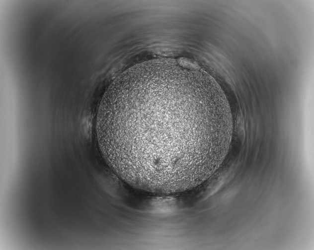 X0000096490271200801241511