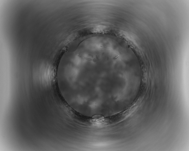 X0000096490273200801241511