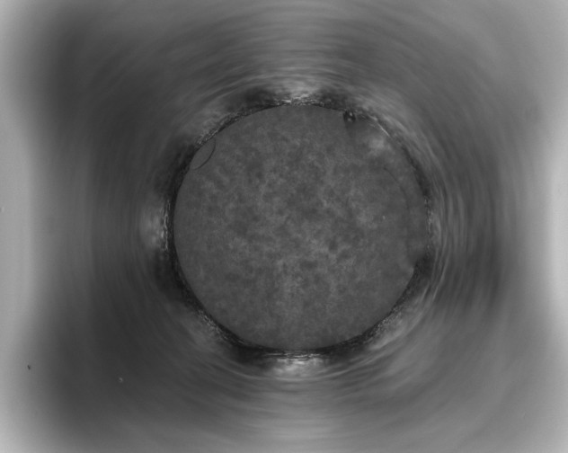 X0000096490274200801241511