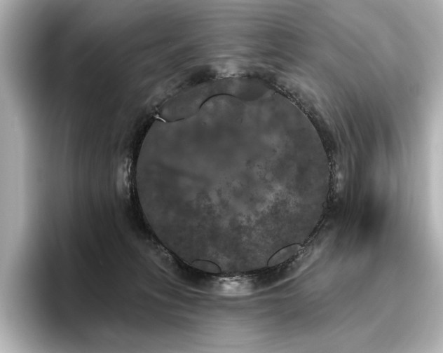 X0000096490275200801241511