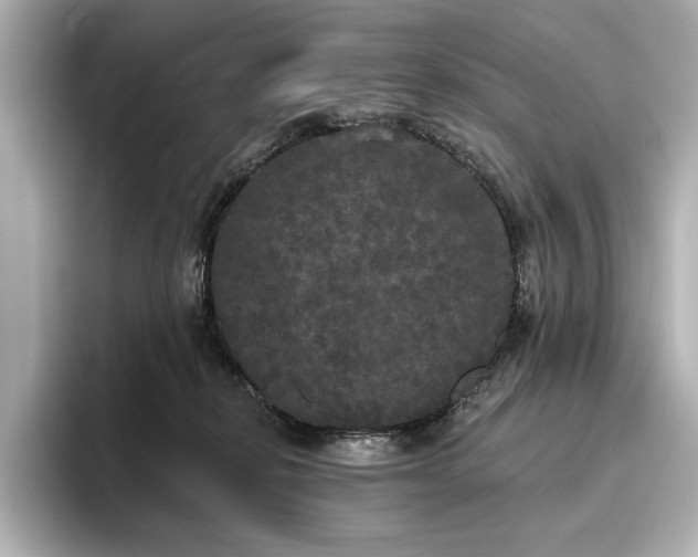 X0000096490278200801241511