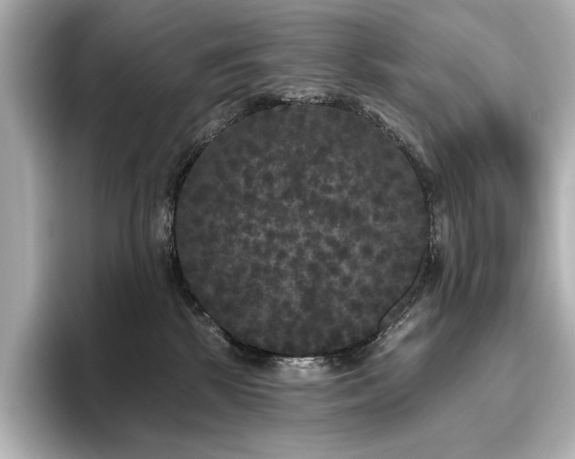 X0000096490281200801241511