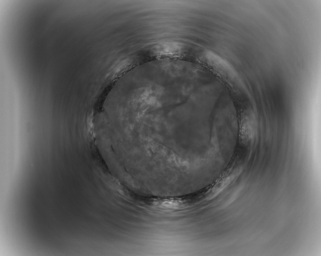 X0000096490282200801241511