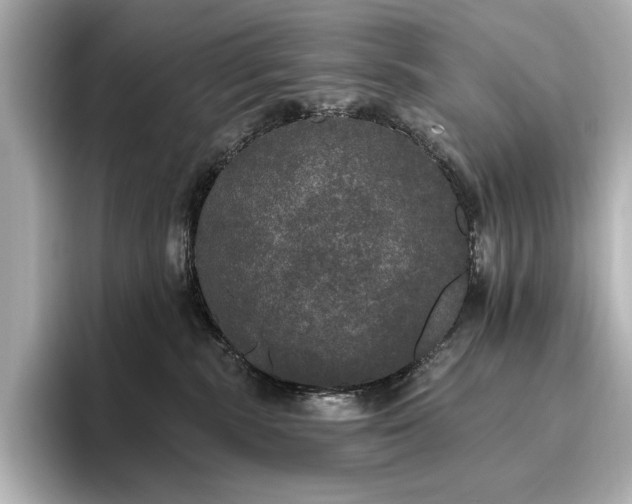 X0000096490283200801241511