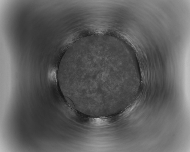 X0000096490286200801241511