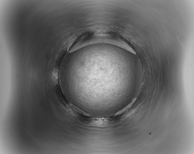 X0000096490288200801241511