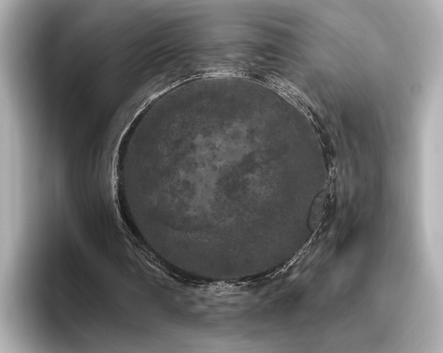 X0000096490290200801241510