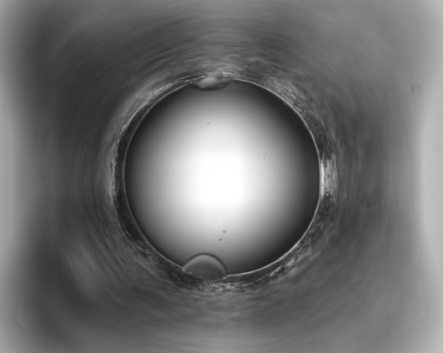 X0000096490291200801241510