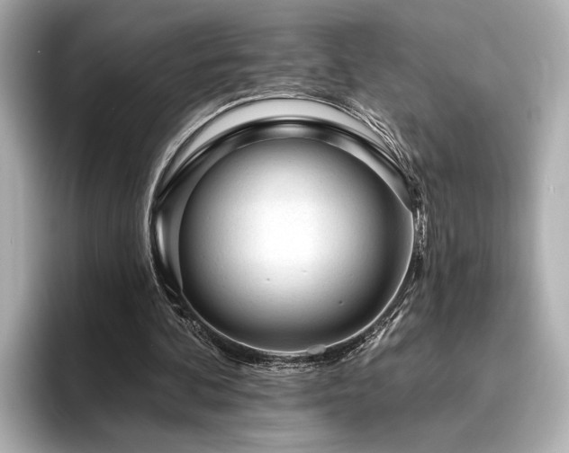 X0000096490292200801241510