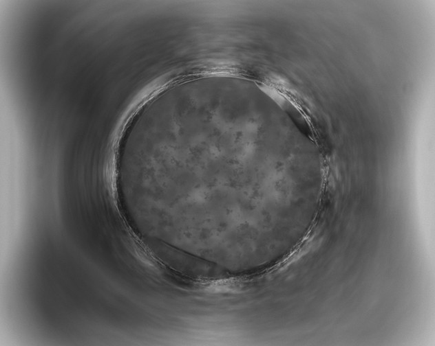 X0000096490293200801241510