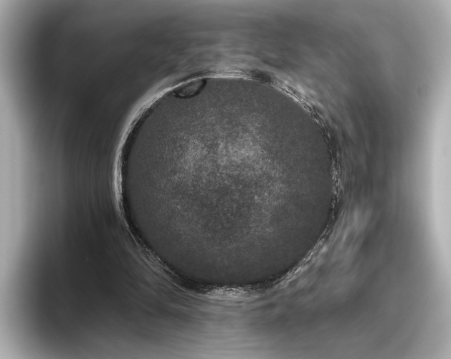 X0000096490294200801241510