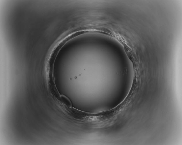 X0000096490295200801241510