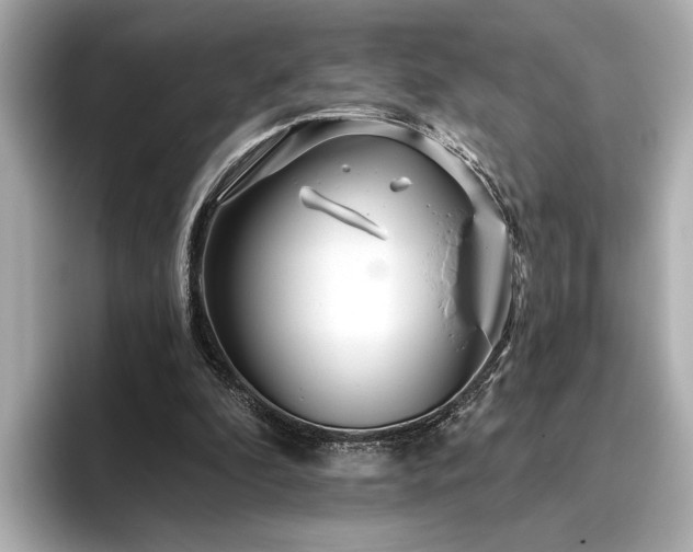 X0000096490296200801241510