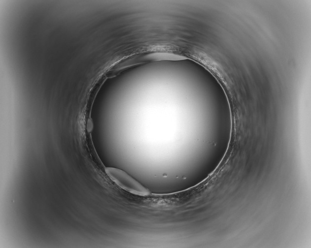 X0000096490297200801241510