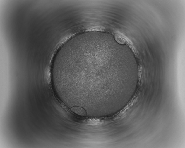 X0000096490298200801241510