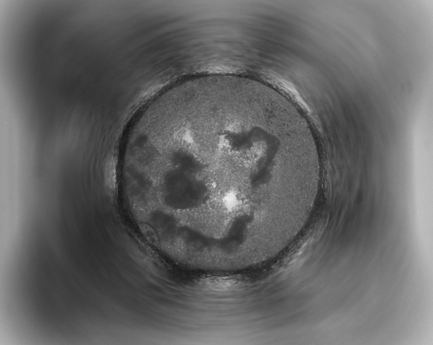 X0000096490299200801241510