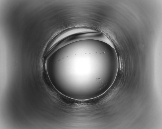 X0000096490300200801241510