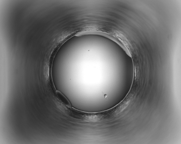 X0000096490301200801241510