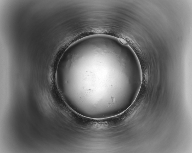 X0000096490303200801241510