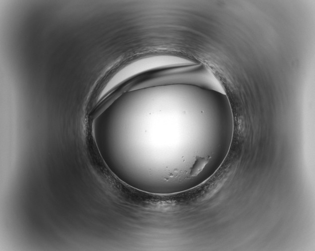 X0000096490304200801241510