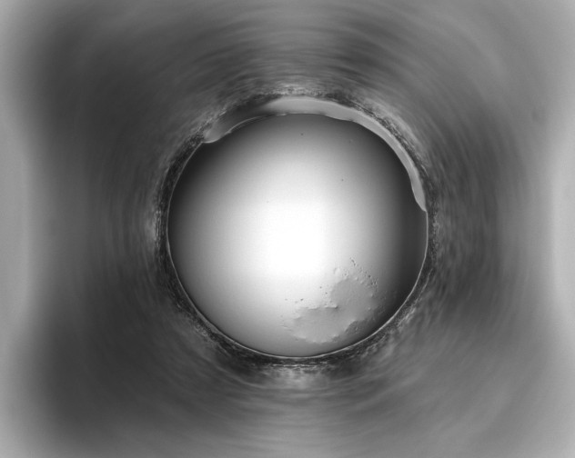 X0000096490305200801241510