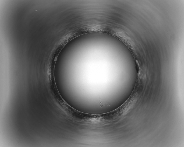 X0000096490306200801241510