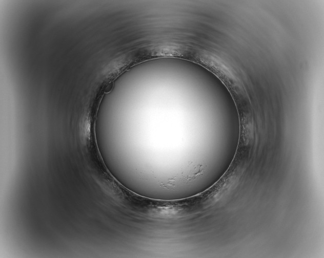 X0000096490310200801241510