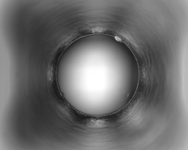 X0000096490311200801241510