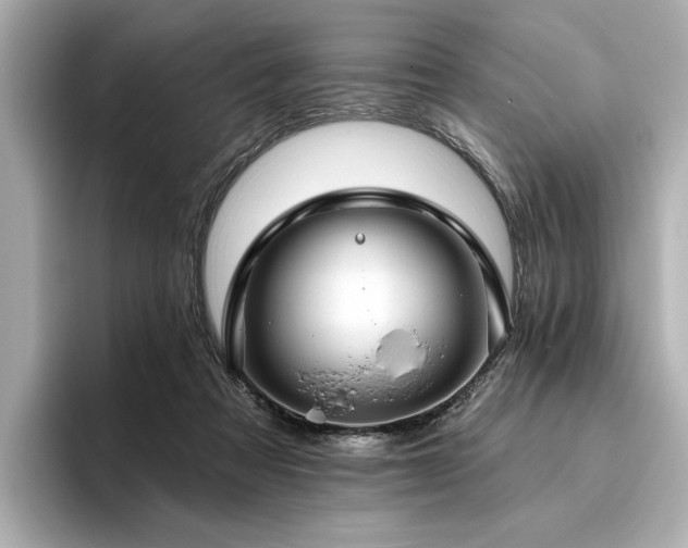 X0000096490313200801241510