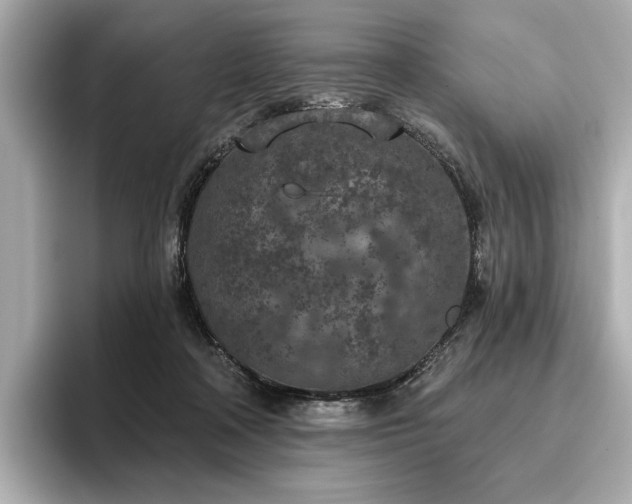 X0000096490314200801241510