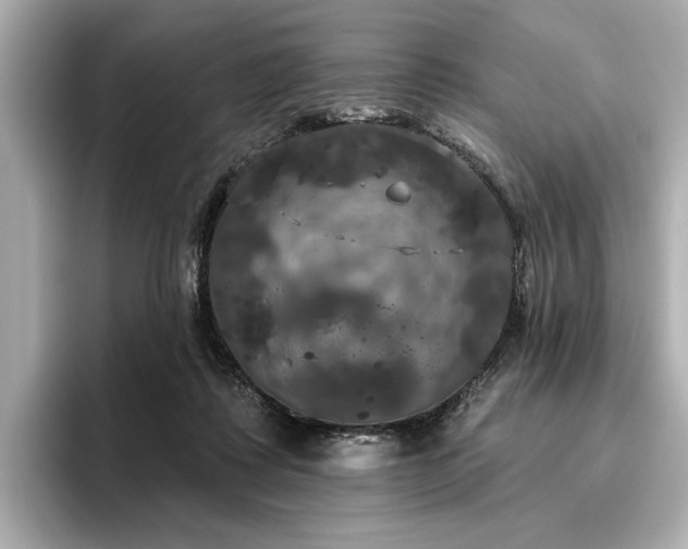 X0000096490315200801241510