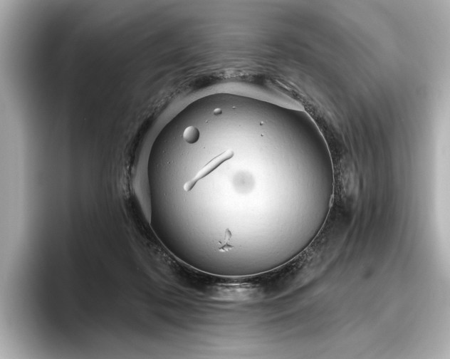 X0000096490316200801241510