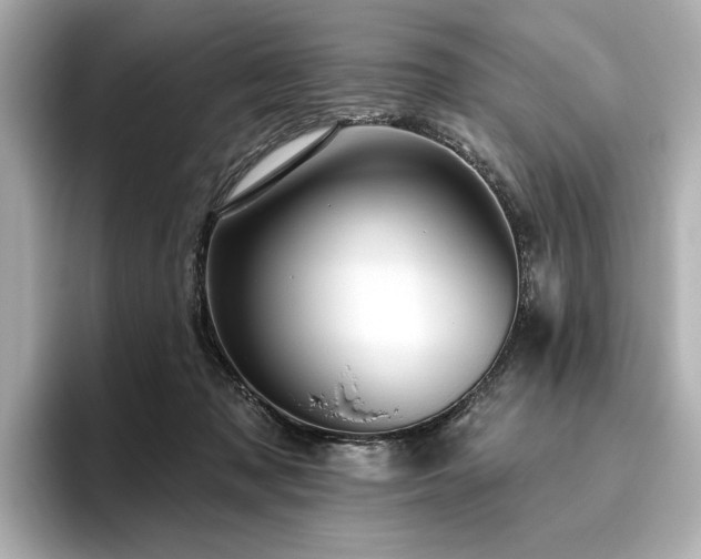 X0000096490317200801241510