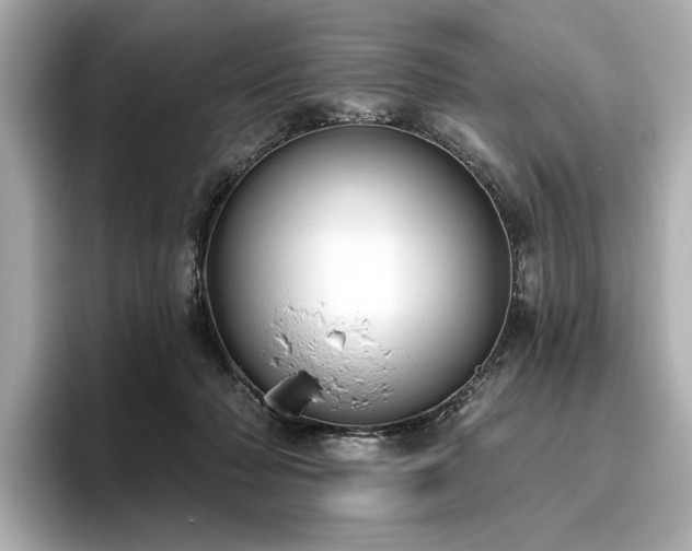 X0000096490318200801241510