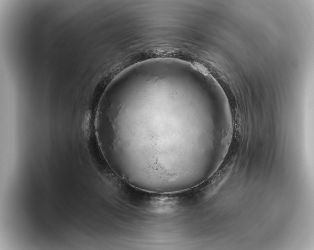 X0000096490319200801241510