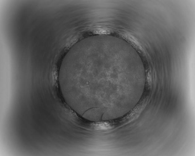 X0000096490322200801241510