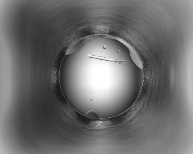 X0000096490323200801241510