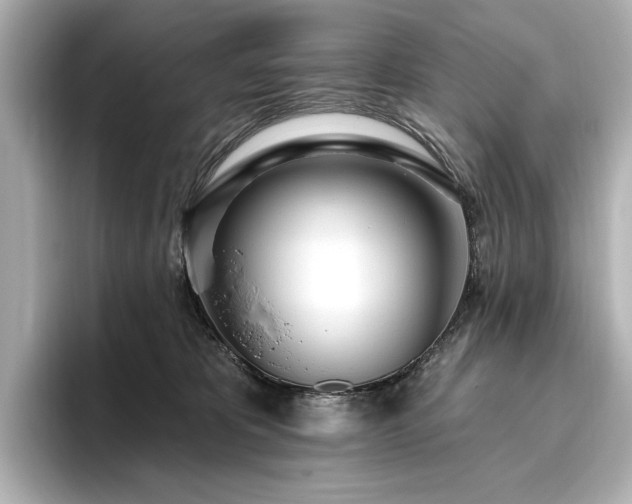 X0000096490325200801241510