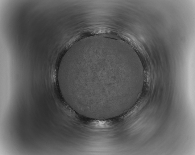 X0000096490326200801241510